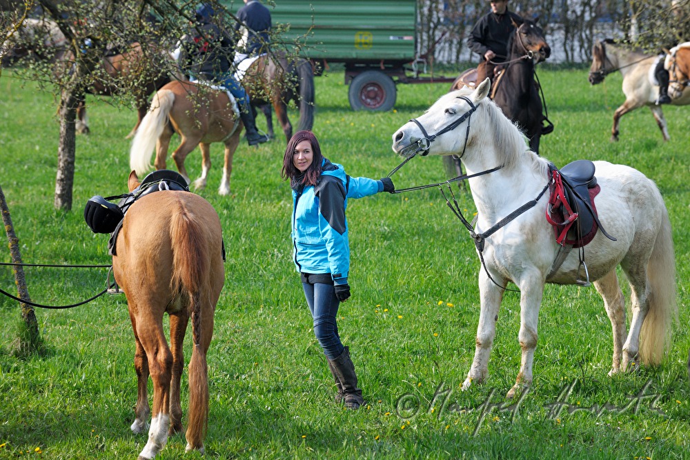 horsewoman waits for the start of the horse pilgrimage