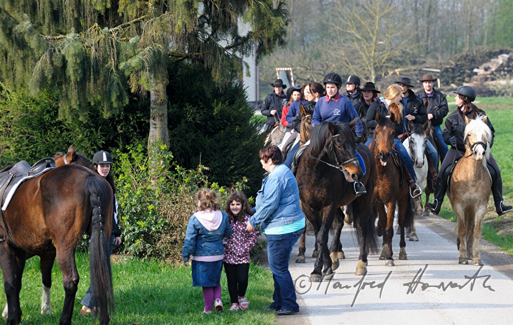 riders at the horse pilgrimage