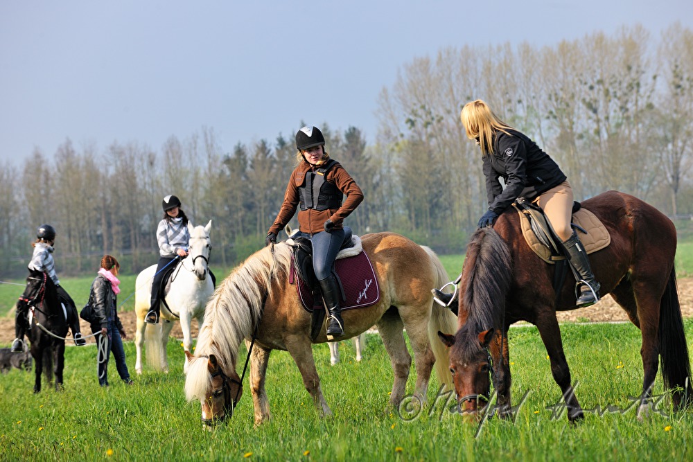 riders wait for the start of the horse pilgrimage
