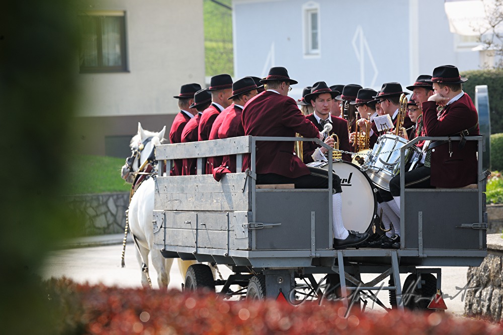 horse cab with musicians at the horse pilgrimage