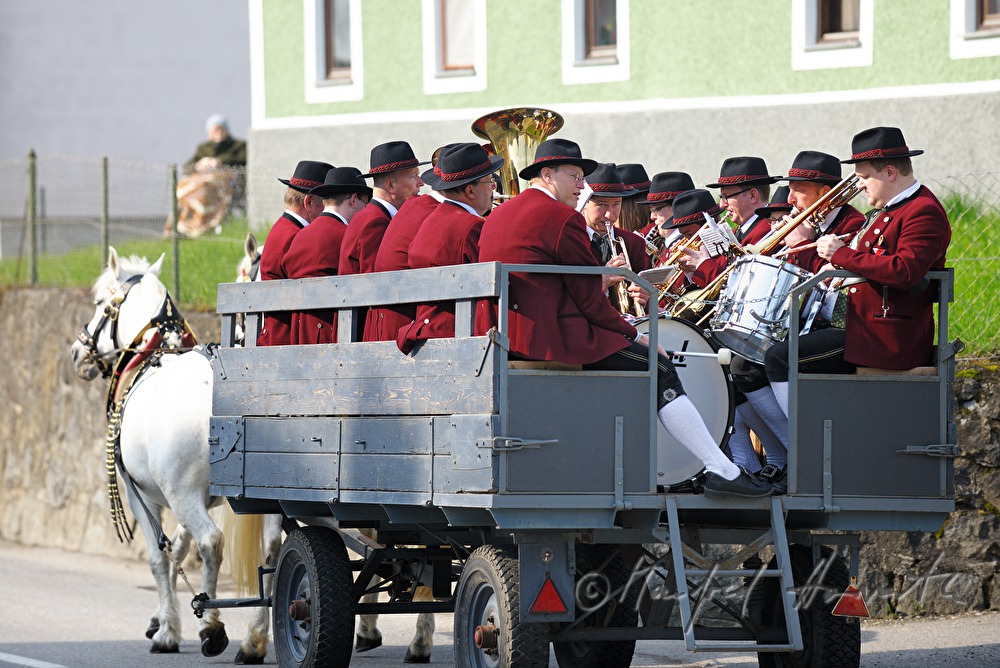 horse cab with musicians at the horse pilgrimage