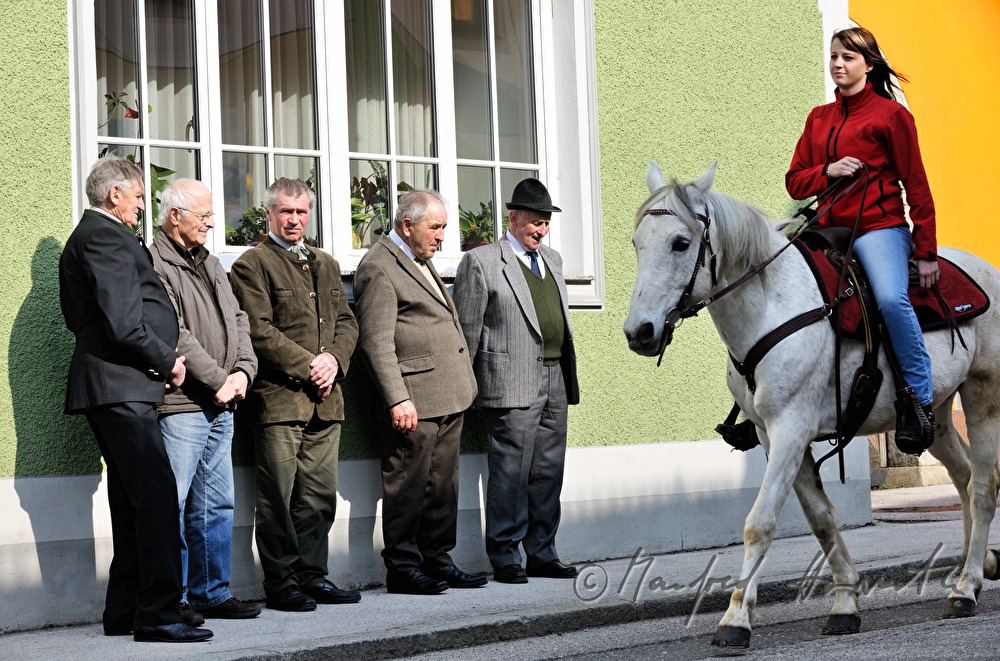 spectators watch the horse pilgrimage on the main street