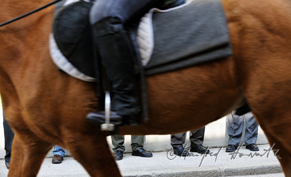 spectators watch the horse pilgrimage on the main street