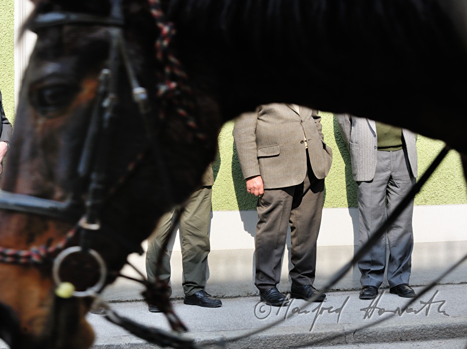 spectators watch the horse pilgrimage on the main street