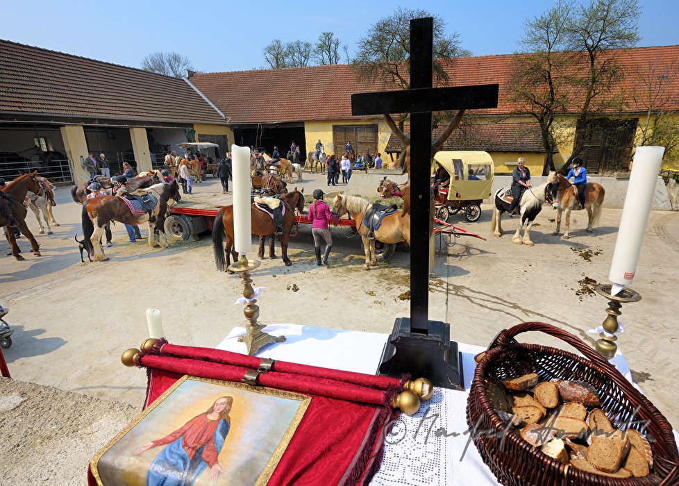 open air mass at the horse farm during the horse pilgrimage