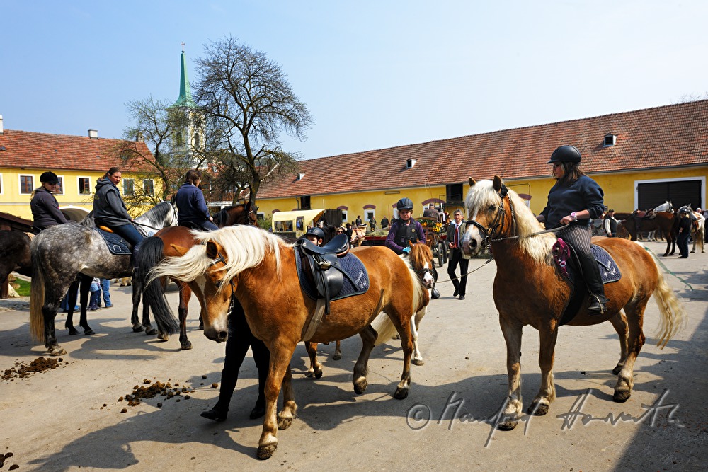 start of the horse pilgrimage from the Deckardt Farm