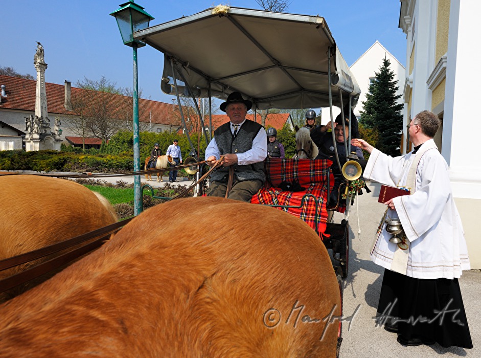pastor waiting for the horse cab during the horse pilgrimage
