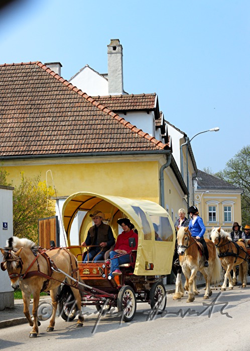 horse cab at the horse pilgrimage