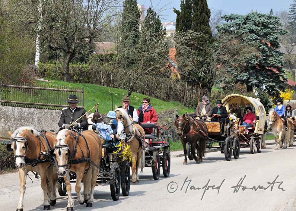 horse cab at the horse pilgrimage