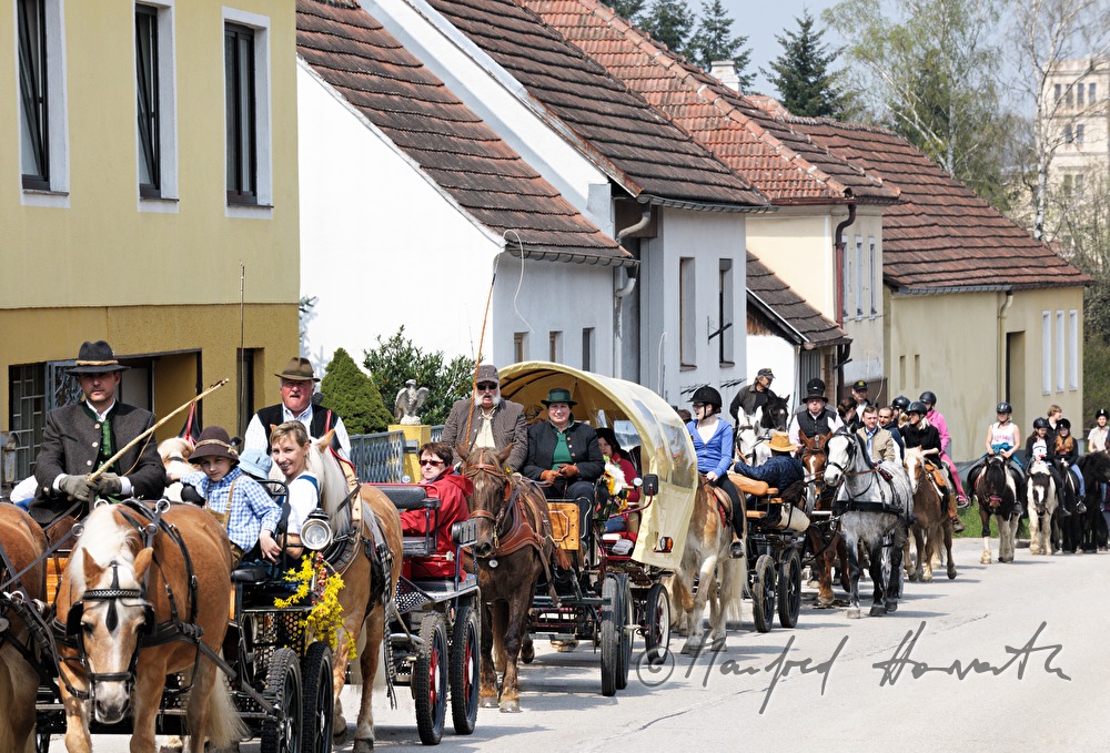 horse cab at the horse pilgrimage