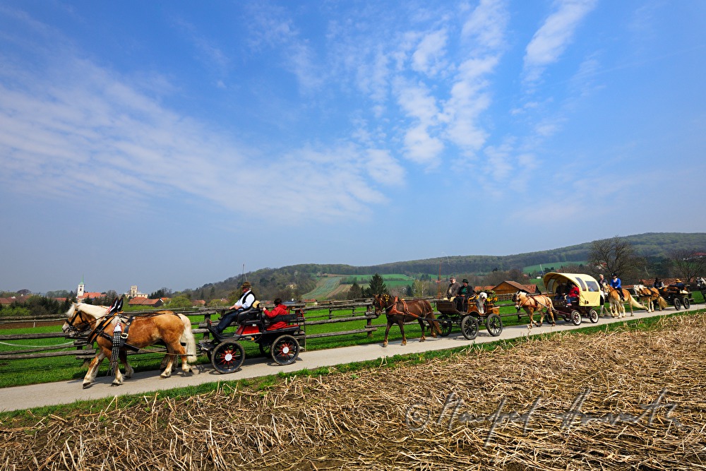 horse cabs at the horse pilgrimage