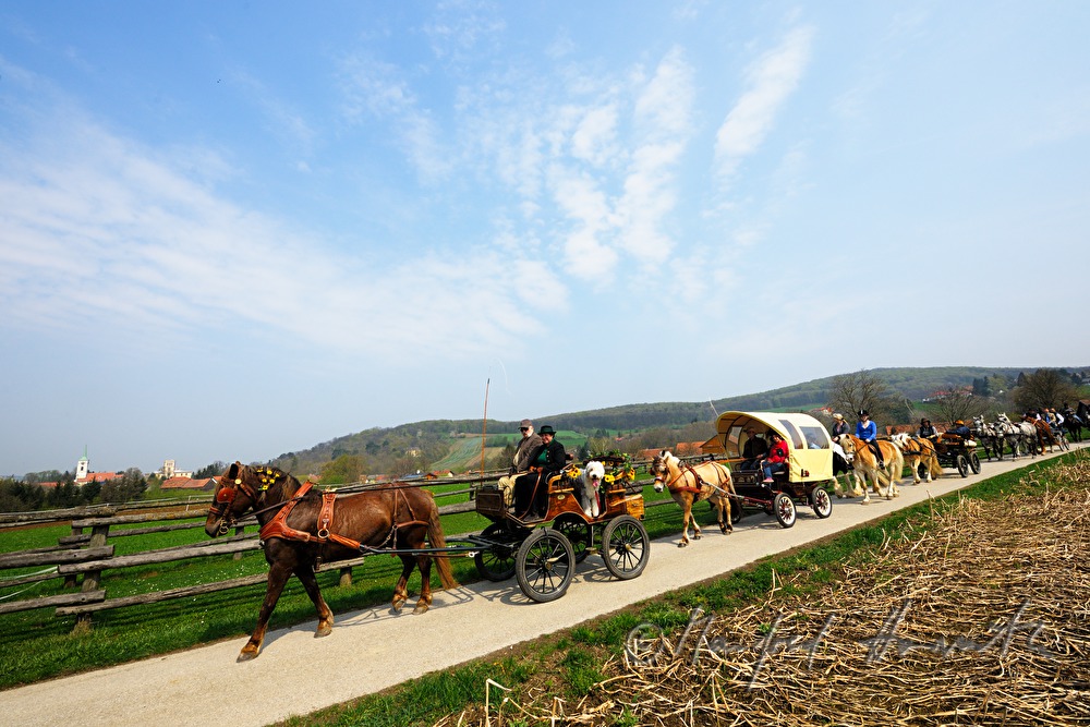 horse cabs at the horse pilgrimage