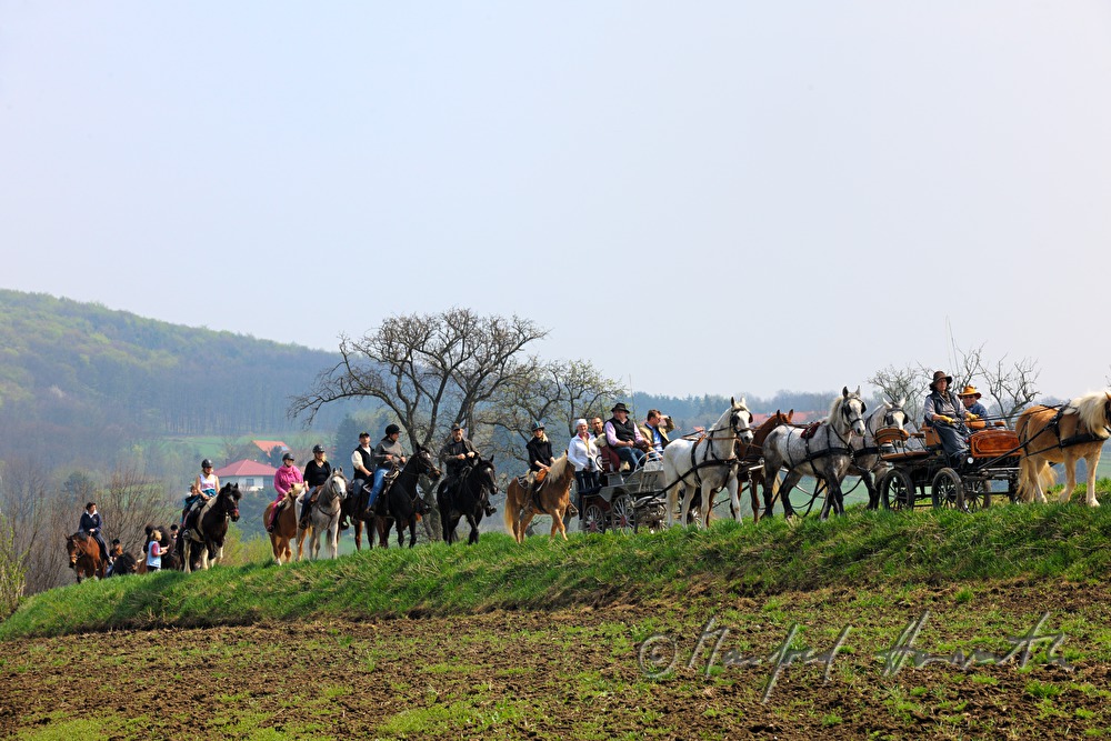 riders and horse cabs at the horse pilgrimage