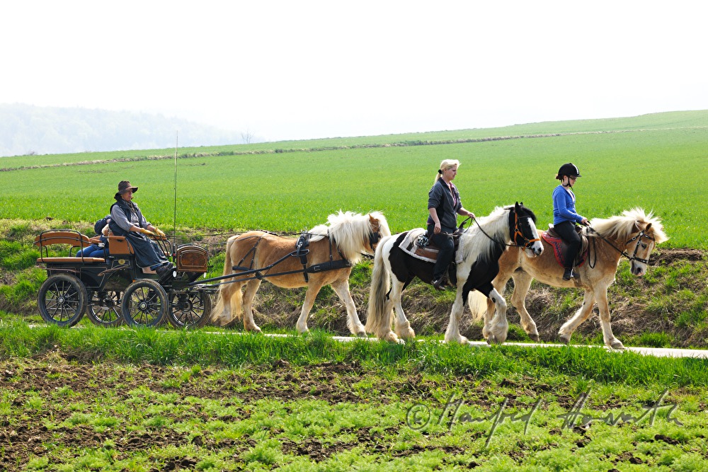 riders and horse cab at the horse pilgrimage