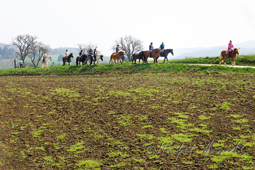 riders at the horse pilgrimage