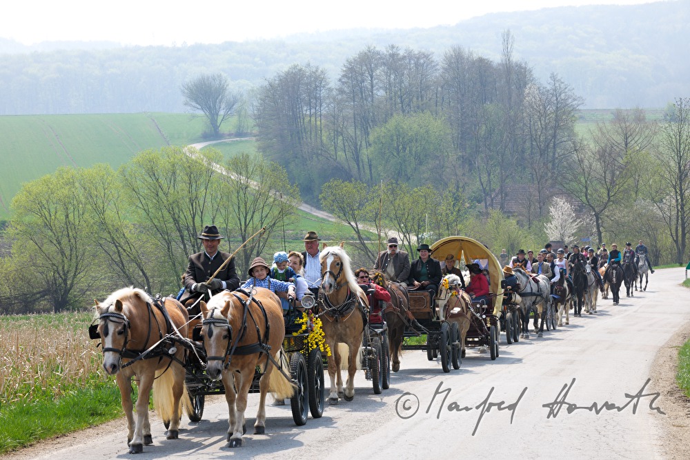 riders and horse cabs at the horse pilgrimage