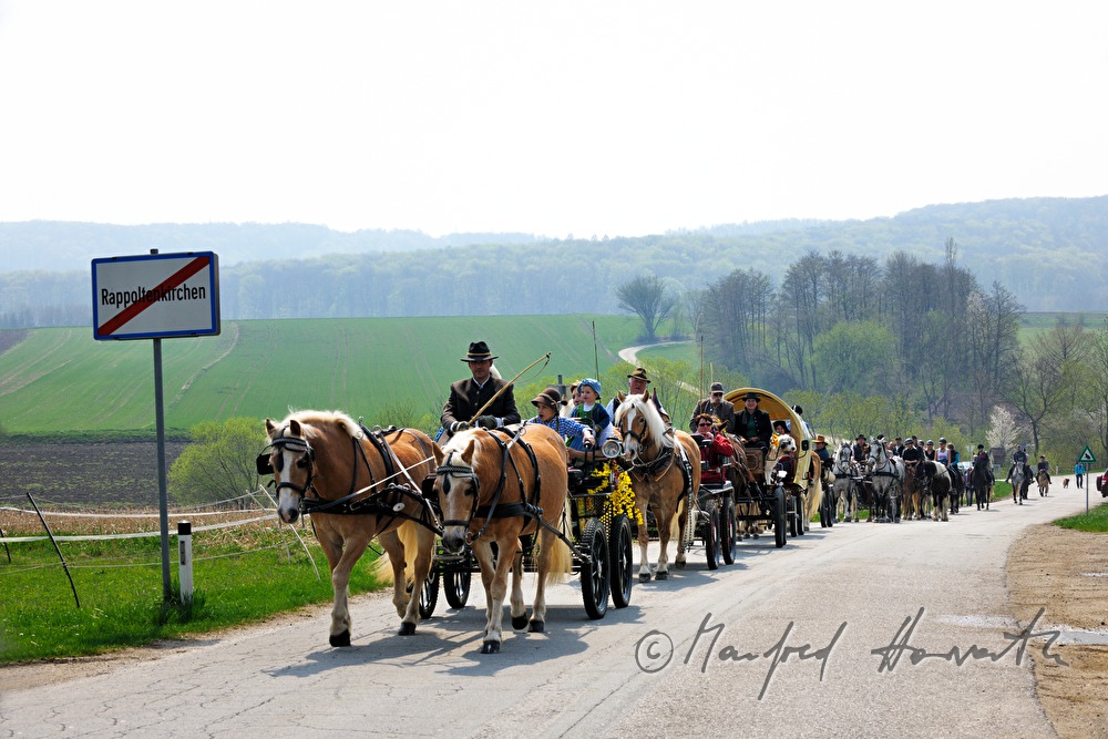 riders and horse cabs at the horse pilgrimage