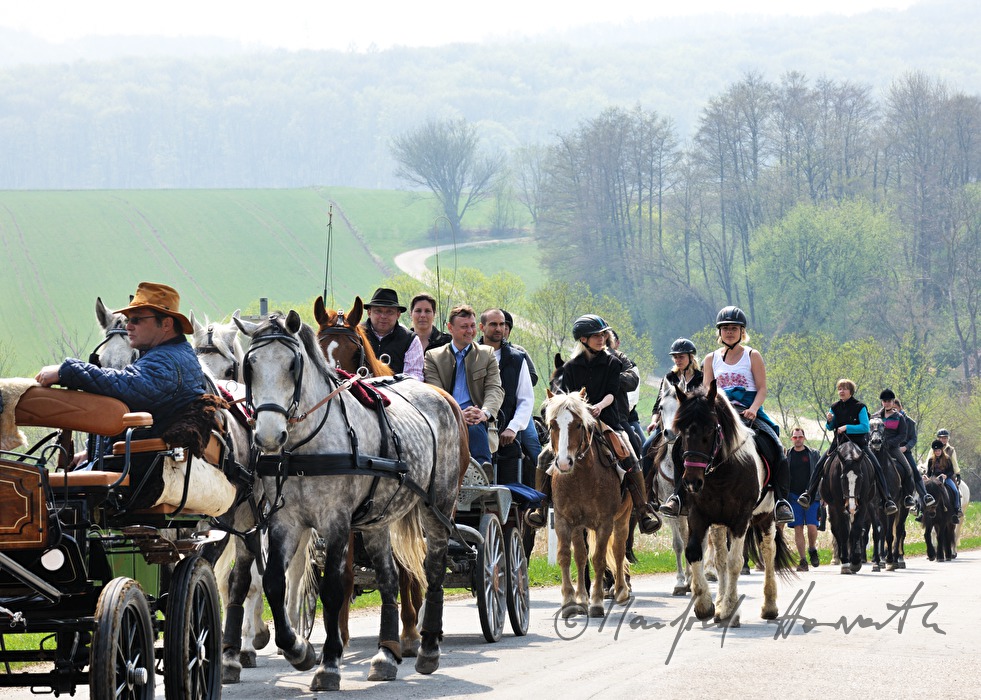 riders and horse cabs at the horse pilgrimage