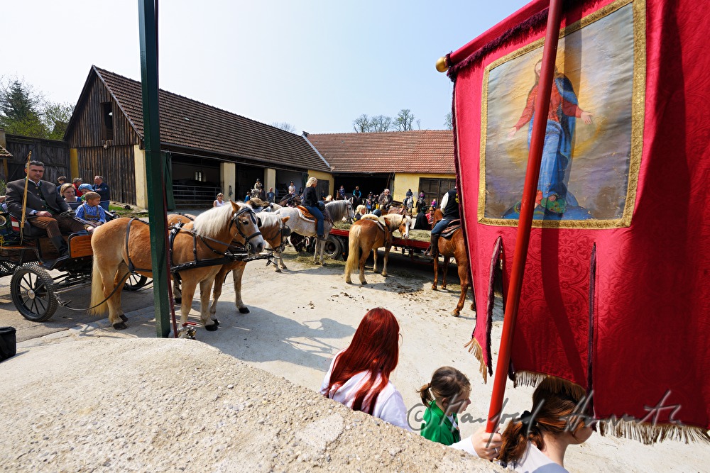 open air mass at the horse farm during the horse pilgrimage