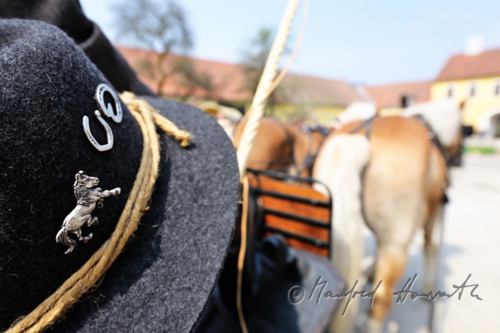 hat of the coachman during the horse pilgrimage