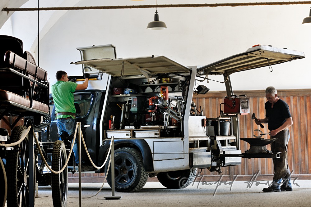 horseshoer hammering a horseshoe at the mobile workstation