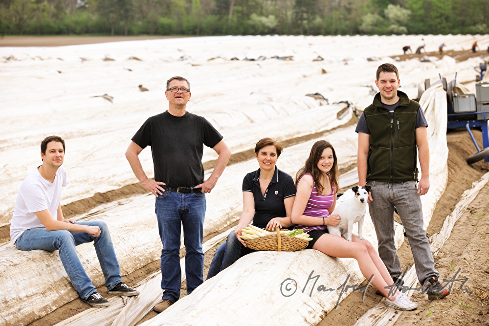 the farmers Brandenstein at the harvest of bio asparagus