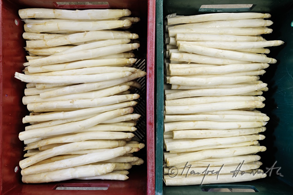 boxes with bio asparagus at the harvest