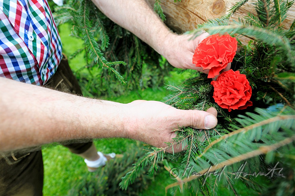 decorating the maypole on the 1st May