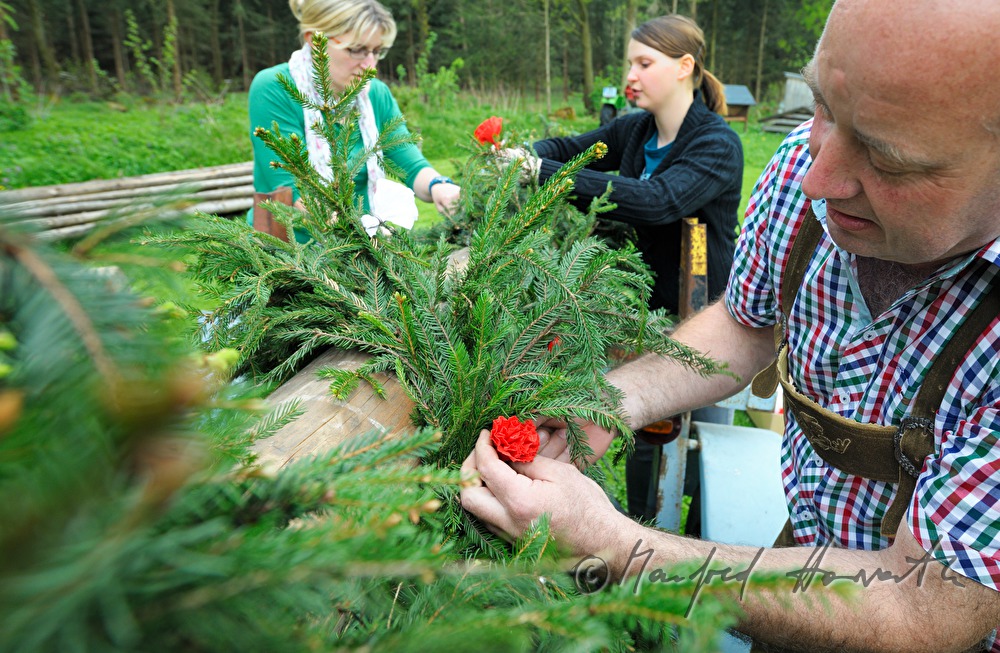 decorating the maypole on the 1st May