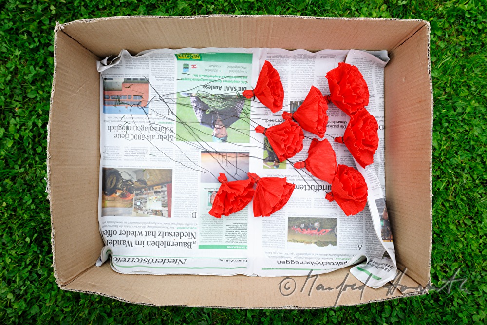 box with paper roses for decorating the maypole