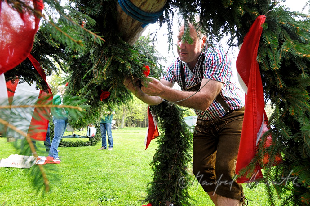 decorating the maypole on the 1st May
