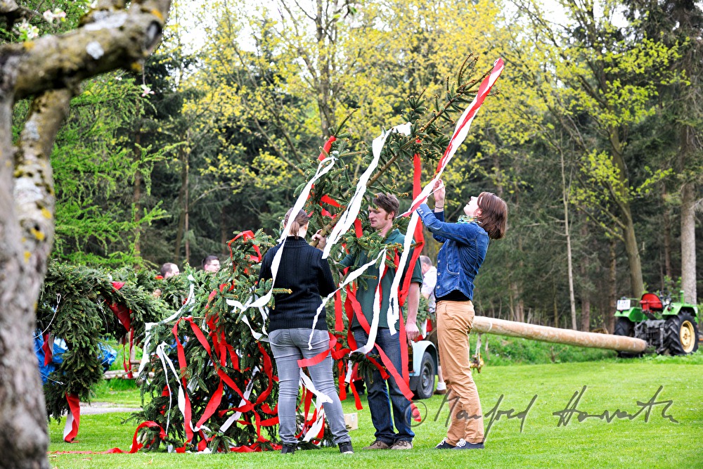 decorating the maypole on the 1st May