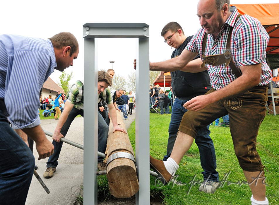 erecting the maypole on the 1st May