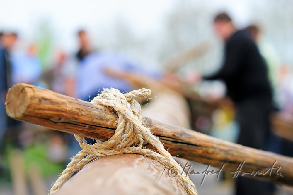 erecting the maypole on the 1st May