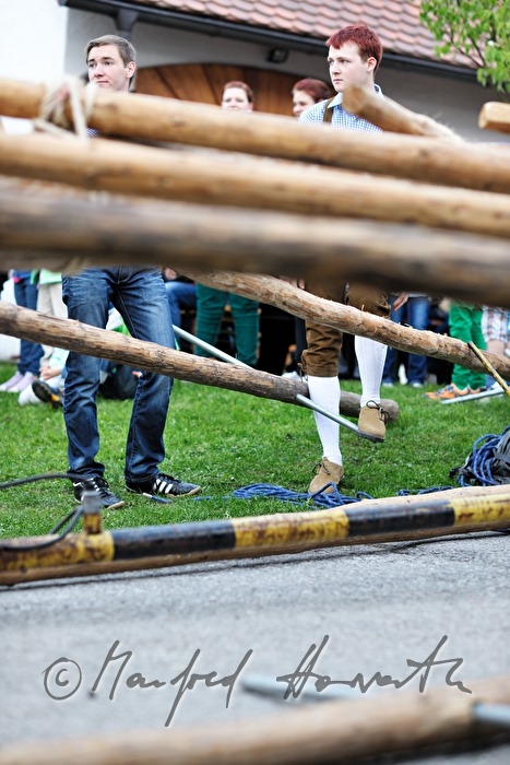 erecting the maypole on the 1st May