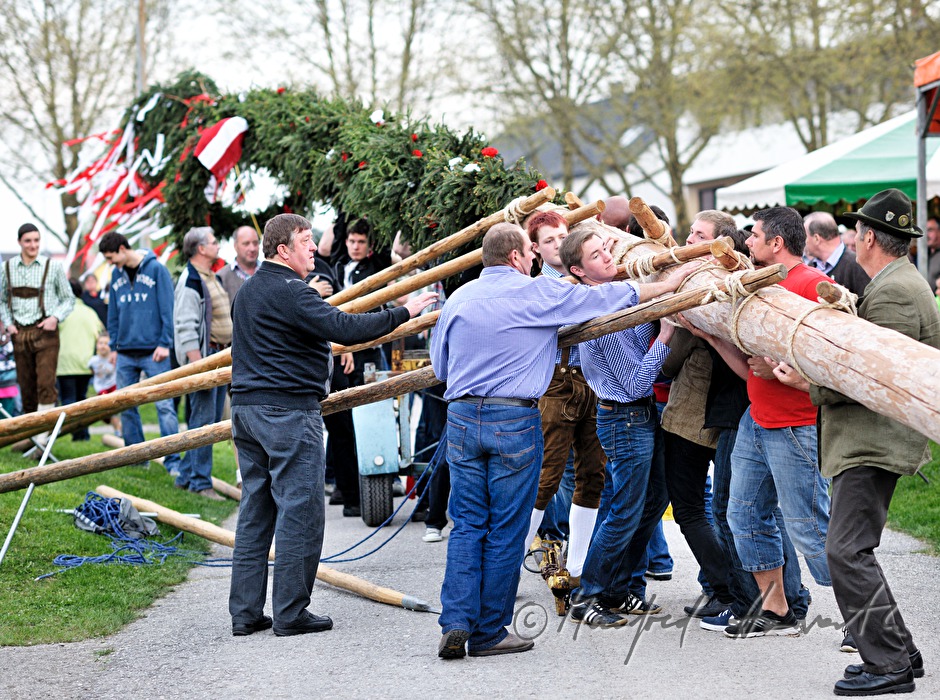 erecting the maypole on the 1st May