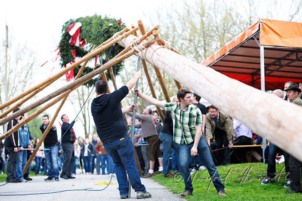 erecting the maypole on the 1st May