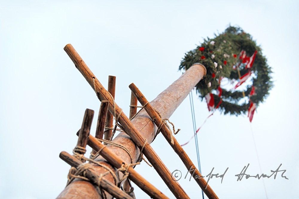 erecting the maypole on the 1st May
