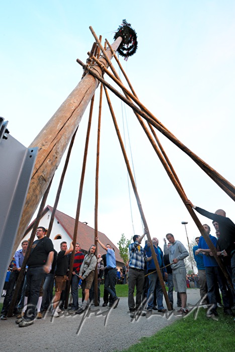 erecting the maypole on the 1st May