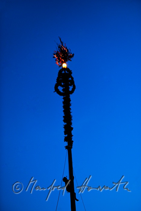 climber on the maypole with a rose in his mouth