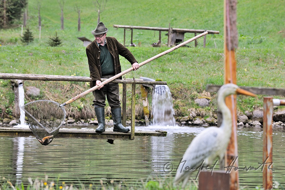 a fisherman is catching chars with a casher