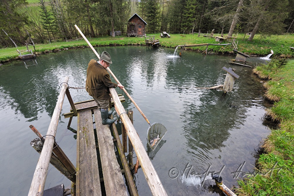 a fisherman is catching chars with a casher