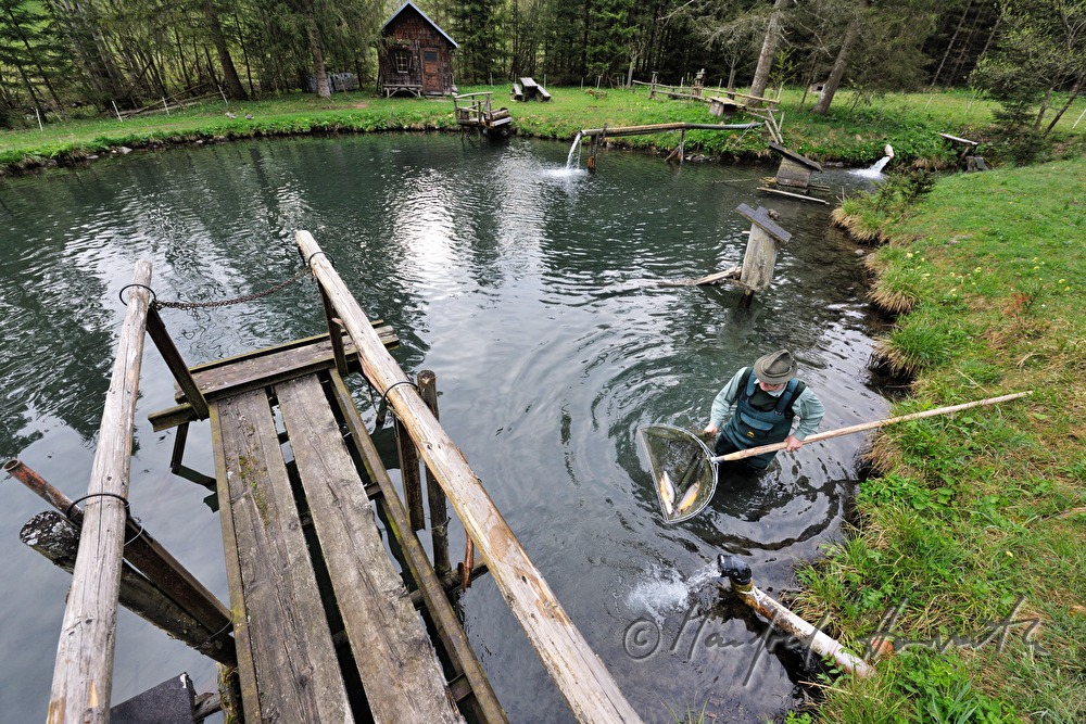 a fisherman is catching chars with a casher