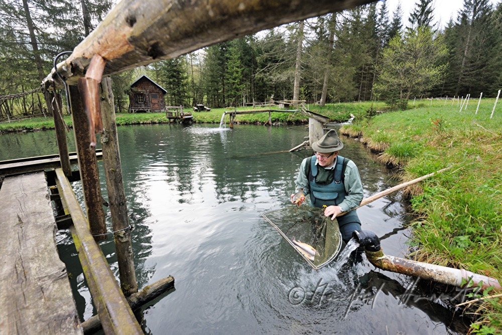 a fisherman is catching chars with a casher