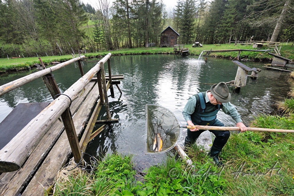 a fisherman is catching chars with a casher