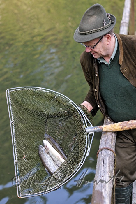 a fisherman is catching trouts with a casher