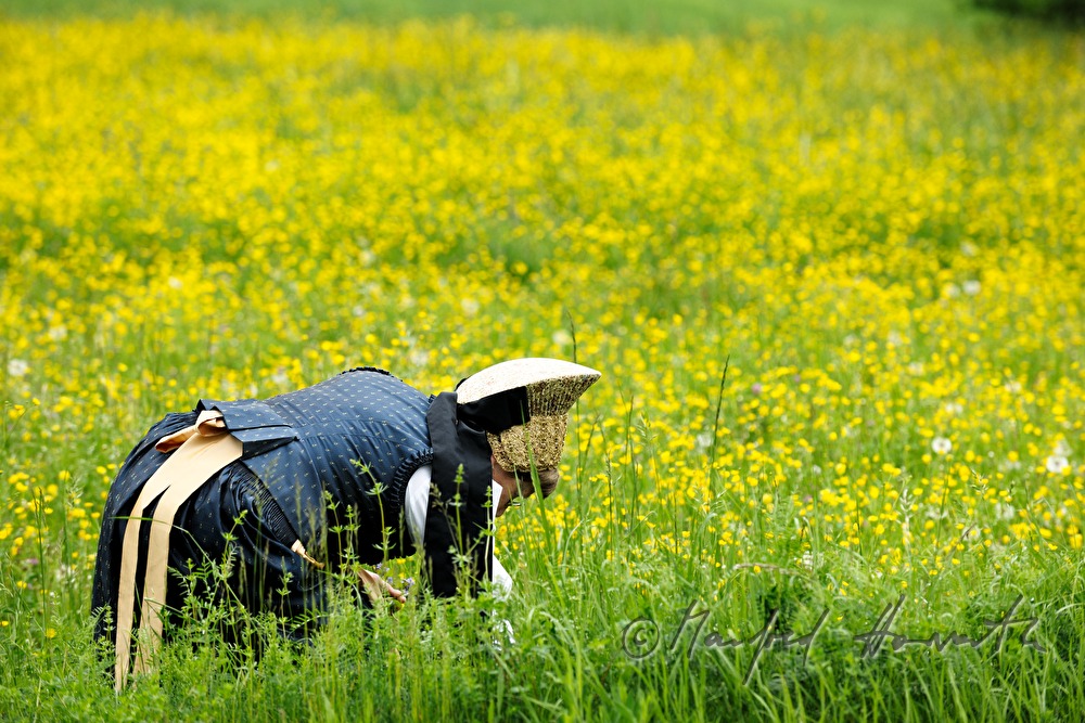 woman in traditional dress from the Wachau region