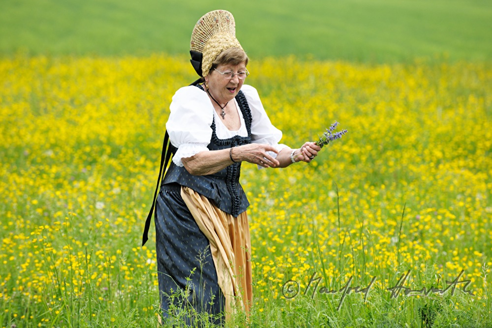 woman in traditional dress from the Wachau region