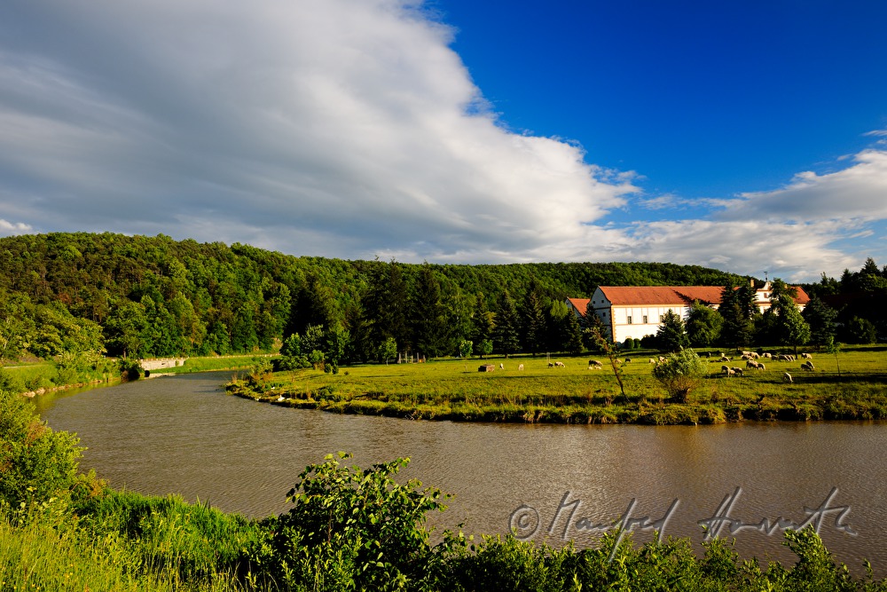 meander of the river Kamp