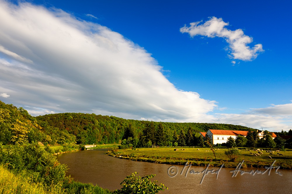 meander of the river Kamp
